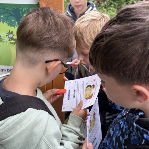 Otvoriť obrázok 20260604_091543343_iOS.jpg vo fotogalérii